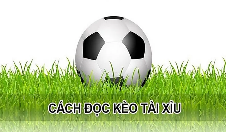 Phân Tích Kèo Tài Xỉu Và Nghệ Thuật Dự Đoán Tổng Số Bàn Thắng Trong Bóng Đá
