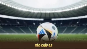 Bí Quyết Chinh Phục Kèo Chấp 0.5 Và Những Chiến Thuật Soi Kèo Đỉnh Cao