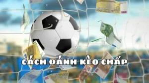 Phân Tích Kèo Chấp 2 Trái Và Cách Đọc Tỷ Lệ Cho Người Mới
