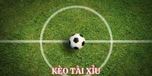 Hướng Dẫn Cách Đọc Kèo Tài Xỉu Bóng Đá Cho Người Mới Bắt Đầu