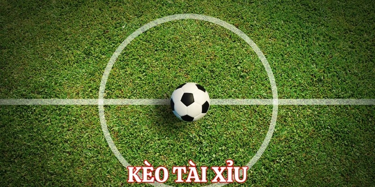 Hướng Dẫn Cách Đọc Kèo Tài Xỉu Bóng Đá Cho Người Mới Bắt Đầu