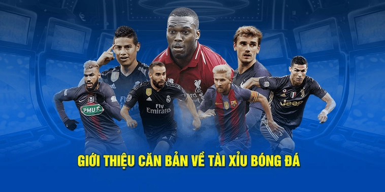 Hướng Dẫn Cách Đọc Kèo Tài Xỉu Bóng Đá Cho Người Mới Bắt Đầu