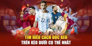 Phân Biệt Kèo Trên Kèo Dưới Và Cách Nhận Biết Đội Bóng Ưu Thế