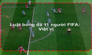 Tìm Hiểu Quy Định Luật Sân Bóng Đá Thi Đấu Chuẩn Quốc Tế Mới Nhất