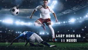 Số Lượng Cầu Thủ Bóng Đá Và Những Quy Định Nghiêm Ngặt Từ FIFA