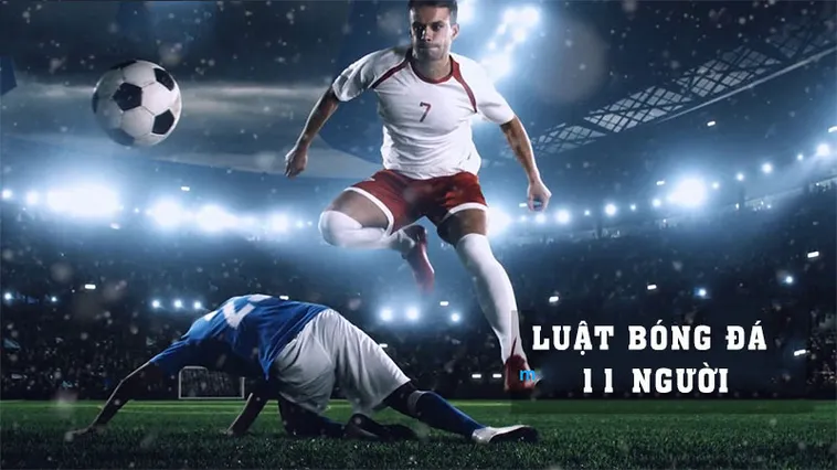 Số Lượng Cầu Thủ Bóng Đá Và Những Quy Định Nghiêm Ngặt Từ FIFA